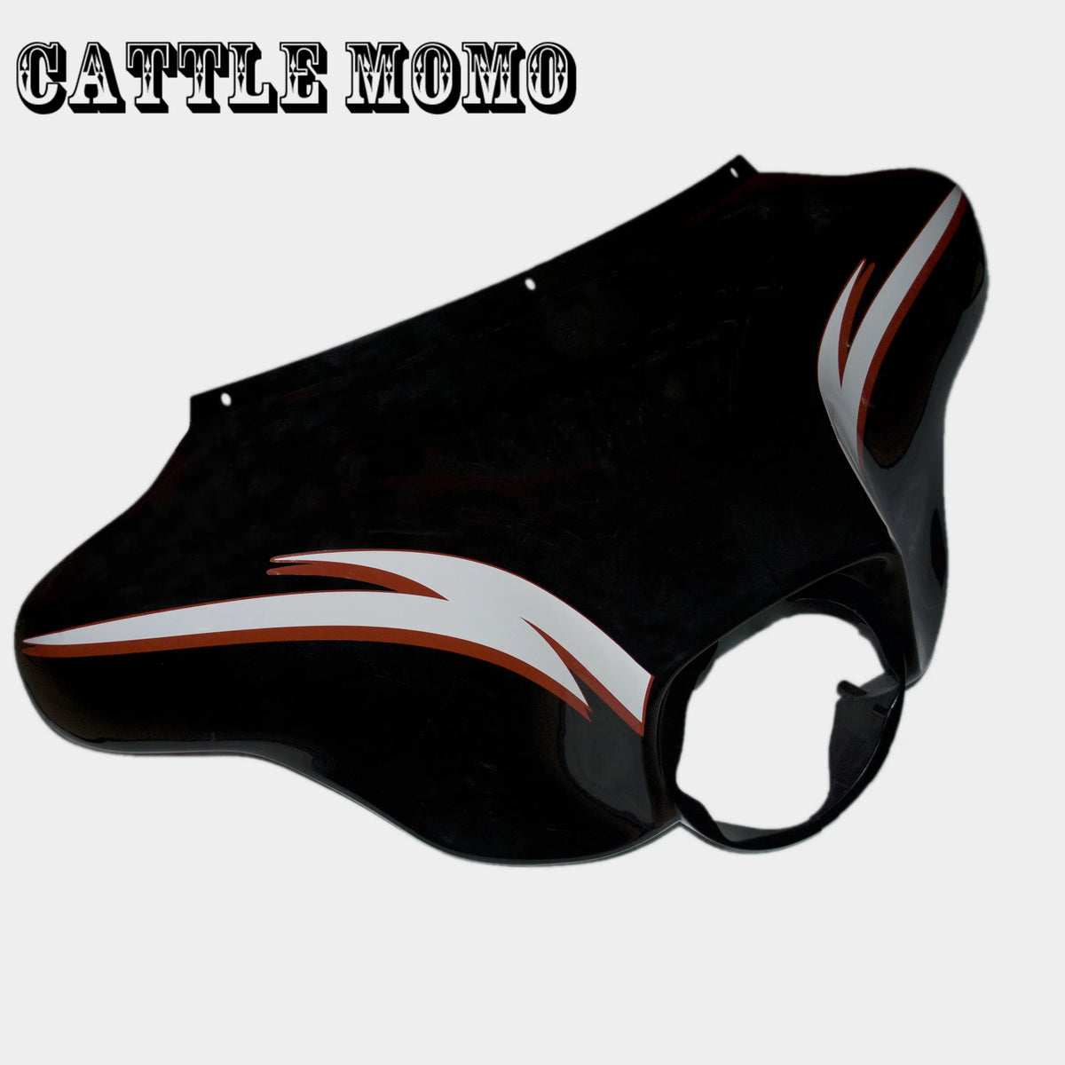 Autocollant décoratif sur carénage de Harley Touring - vue 2