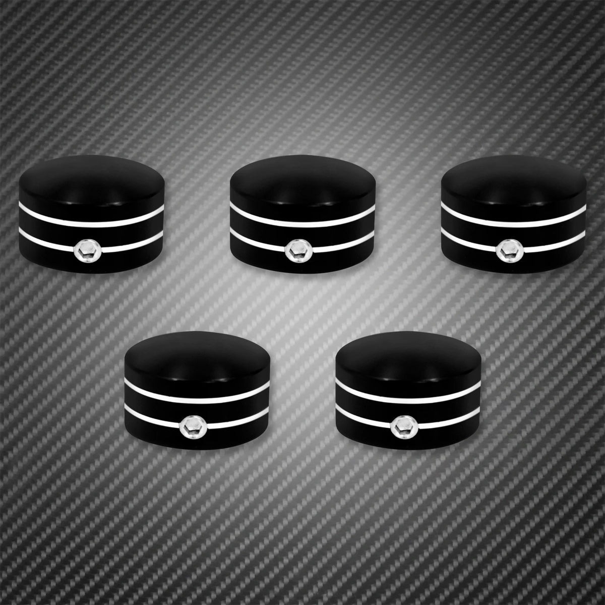 Kit de Caches Vis Plates de Pignon Arrière - Harley-Davidson Touring, Sportster XL883, Softail Fat Boy FXBB – photo 2/8