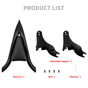 Dossier Passager Amovible 16'' (Sissy Bar) - Harley-Davidson Touring 2009-2025 – photo 6/6