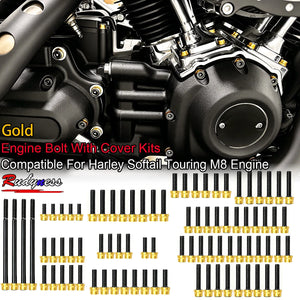 Kit de boulons et caches colorés pour moteur Harley Softail - vue 1