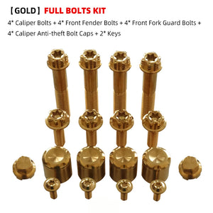 Boulons Titane Étrier/Garde-boue Avant Antivol pour Harley 121 CVO/ST, 117 Road/Street Glide – photo 24/26