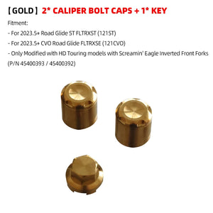 Boulons Titane Étrier/Garde-boue Avant Antivol pour Harley 121 CVO/ST, 117 Road/Street Glide – photo 9/26