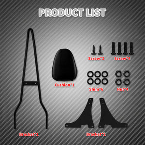 Dossier Passager (Sissy Bar) - Harley-Davidson Sportster XL 2004-2022 & Dyna 2006-2017 – photo 5/8