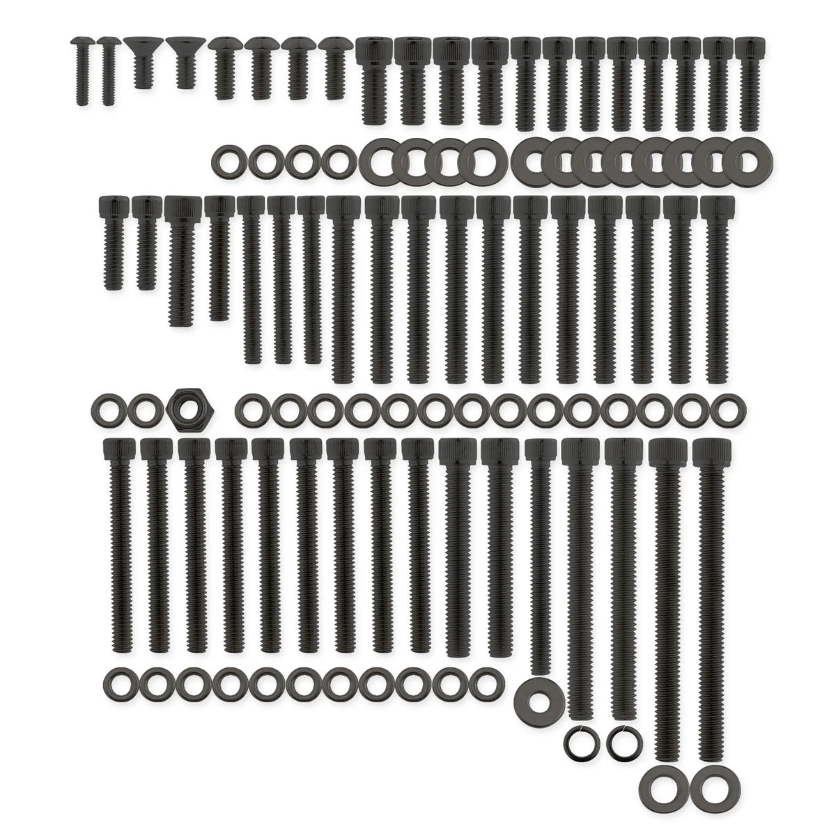 Kit de visserie de carters moteur inox pour Harley Sportster - vue 2