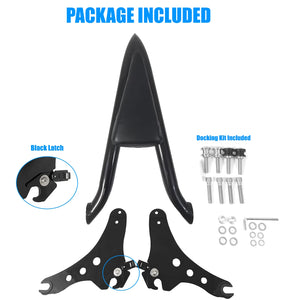 Sissy-bar dossier passager et porte-bagages pour Harley-Davidson Sport Glide et Low Rider FXLR/FXLRS/FXLRST - vue 4