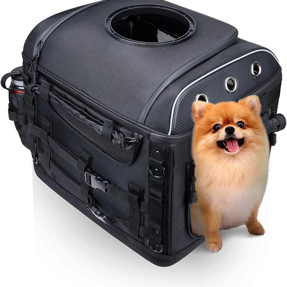 Sac de transport pour animal fixé à l'arrière d'une moto - vue 2