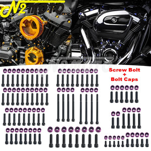 Kit de boulons et caches colorés pour moteur Harley M8 - vue 1
