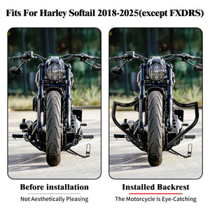 Barre de protection moteur noire à l'avant d'une Harley Softail - vue 4