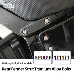 Boulons de Renfort de Garde-Boue Arrière en Titane - Harley-Davidson Softail M8 2018-2025, Road Glide 117/121 – photo 1/18