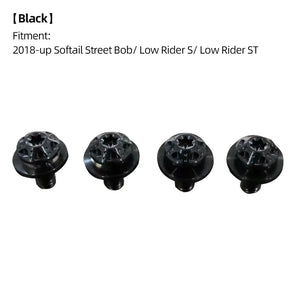 Boulons de Fourche Avant / Cache-Batterie en Titane - Harley-Davidson Softail M8 2018 et plus récent – photo 12/18