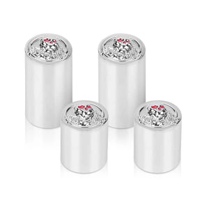 Caches Magnétiques pour Points de Fixation (Docking) - Harley-Davidson Touring - vue 13