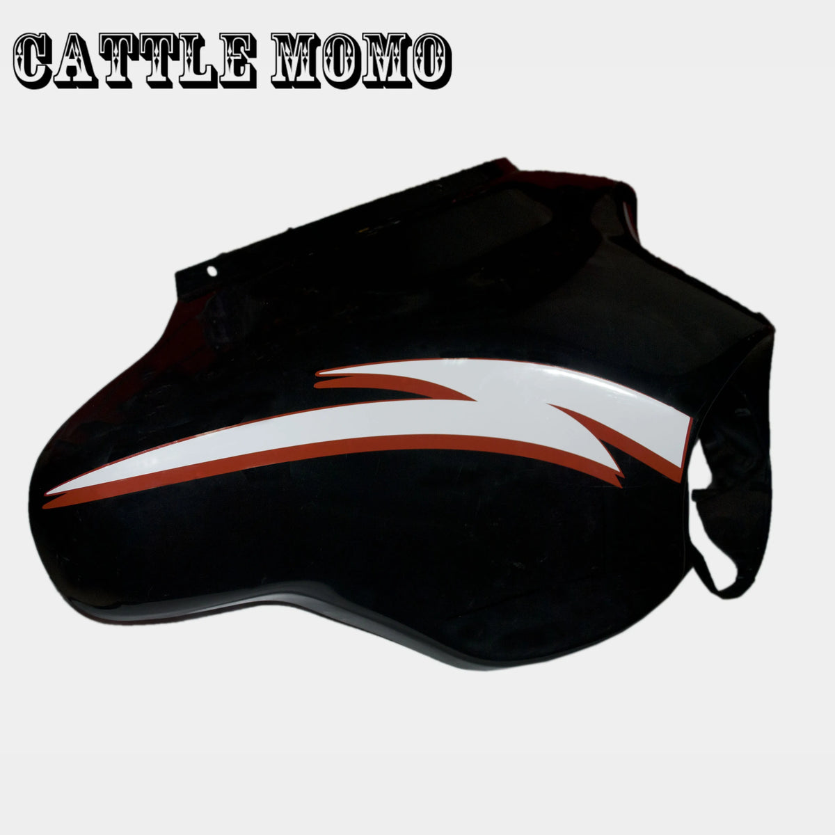 Autocollant décoratif sur carénage de Harley Touring - vue 3