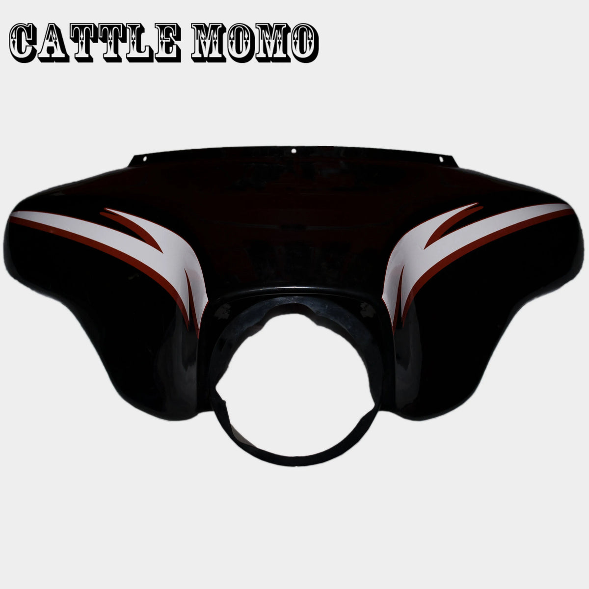 Autocollant décoratif sur carénage de Harley Touring - vue 1