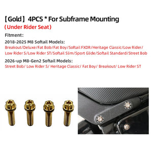 Boulons de Renfort de Garde-Boue Arrière en Titane - Harley-Davidson Softail M8 2018-2025, Road Glide 117/121 – photo 17/18