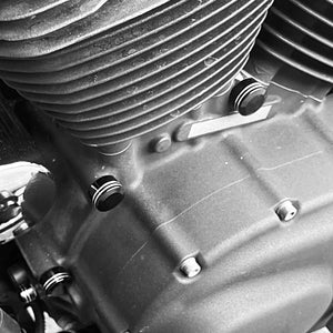 Kit de 62 caches de vis moteur pour Harley Touring Softail - vue 5