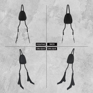 Dossier Passager (Sissy Bar) - Harley-Davidson Sportster XL 2004-2022 & Dyna 2006-2017 – photo 3/8