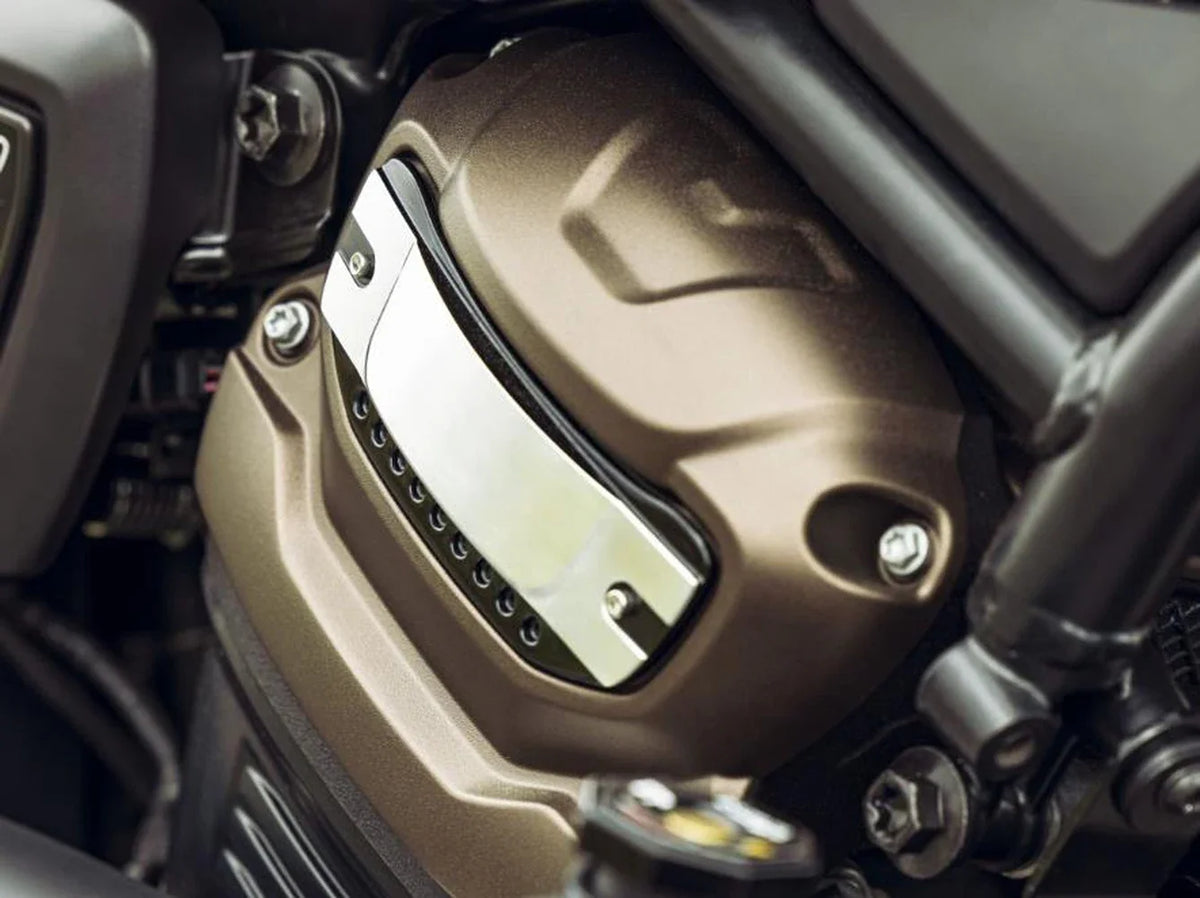 Médaillons Décoratifs de Pignon de Distribution (Set de 2) - Harley-Davidson Nightster 975, Sportster S, Pan America 1250 – photo 2/6