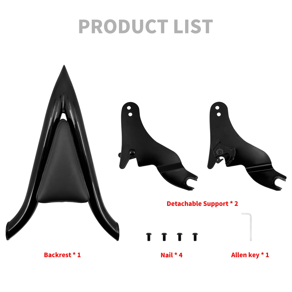 Dossier Passager Amovible 16'' (Sissy Bar) - Harley-Davidson Touring 2009-2025 – photo 6/6