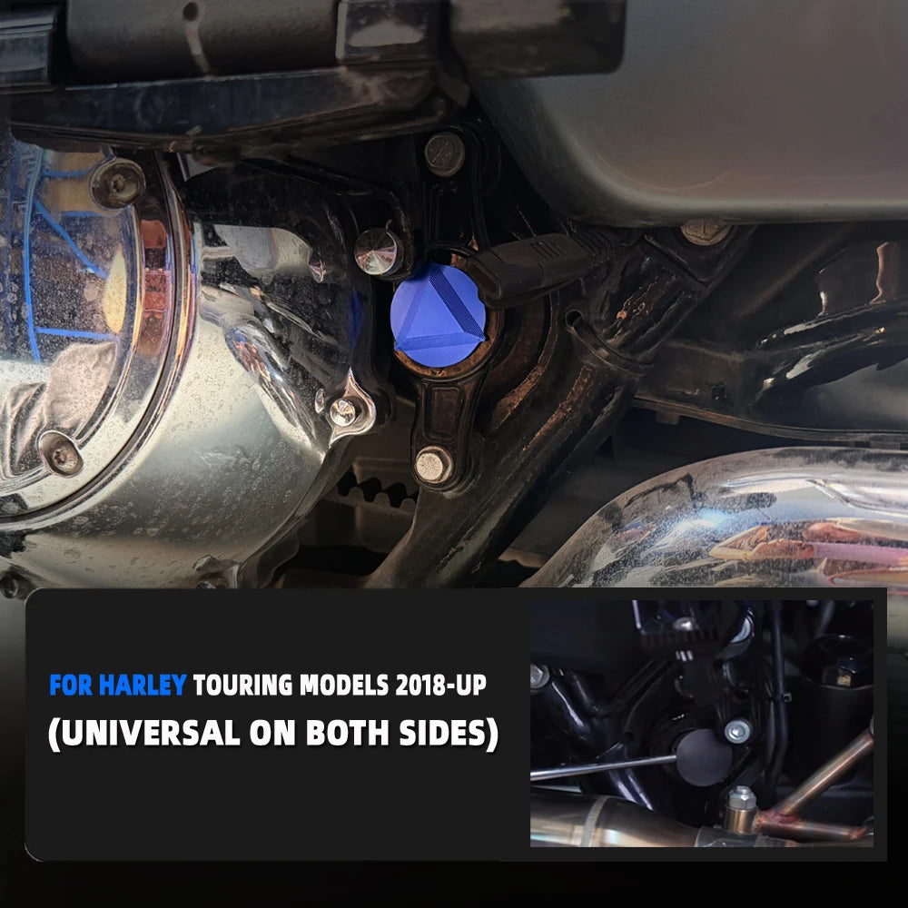 Cache de Bras Oscillant Arrière Teinté (Swing Arm Cover) - Harley-Davidson Touring 2018 et plus récent – photo 5/11