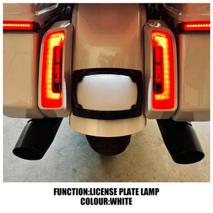 Support de plaque d'immatriculation chromé avec feu LED pour Harley-Davidson - vue 3