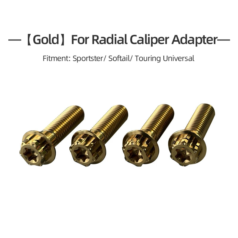 Kit de Boulons Titane Garde-boue Avant / Adaptateur d'Étrier Radial pour Harley Touring, Softail, Sportster – photo 11/14
