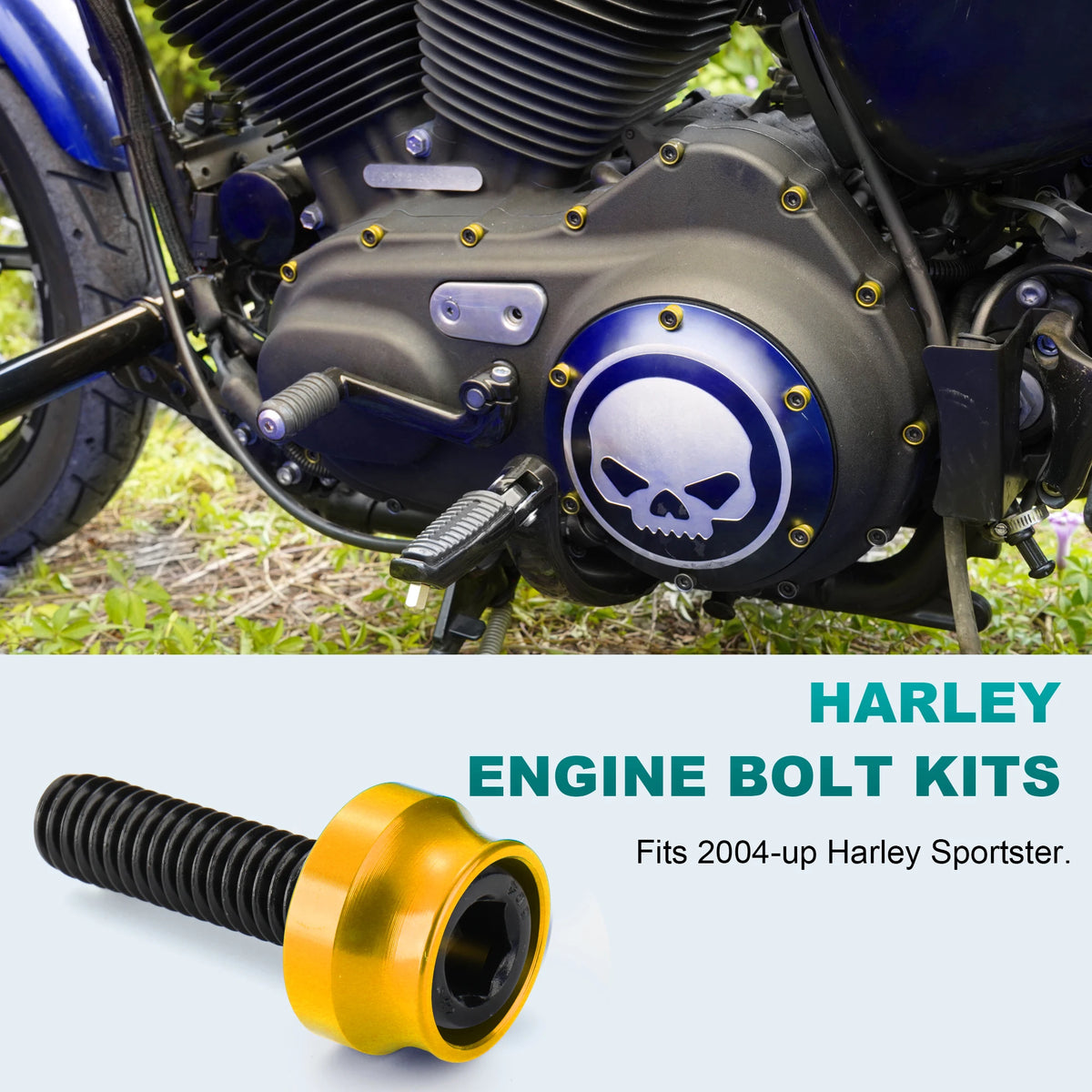 Kit Complet Boulons et Caches Moteur Noir - Harley-Davidson Sportster 2004 et plus – photo 2/8
