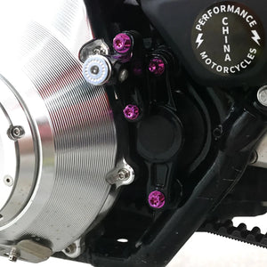 Boulons Titane Bras Oscillant / Repose-pieds Arrière pour Harley Touring et Trike – photo 2/24