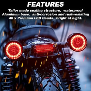 Kit inserts LED de clignotant pour Harley Softail - vue 3