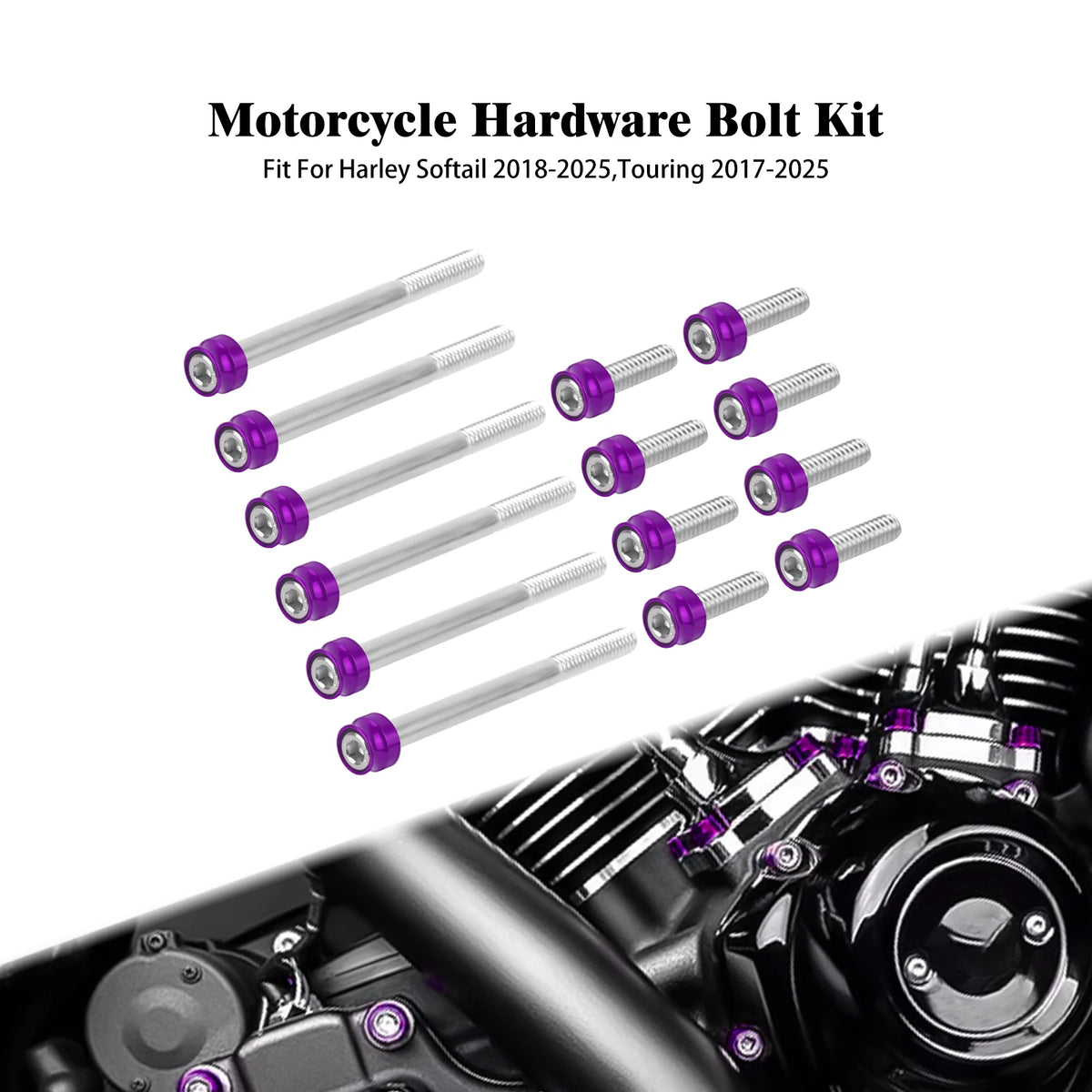Kit de vis décoratives dorées pour moteur M8 Harley-Davidson - vue 7