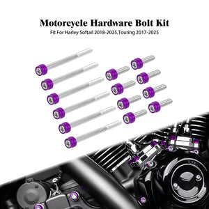 Kit de vis décoratives dorées pour moteur M8 Harley-Davidson - vue 7
