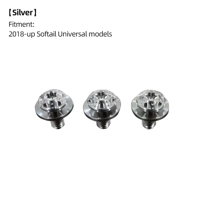 Boulons de Fourche Avant / Cache-Batterie en Titane - Harley-Davidson Softail M8 2018 et plus récent – photo 15/18