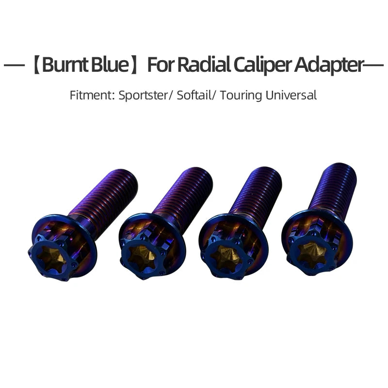 Kit de Boulons Titane Garde-boue Avant / Adaptateur d'Étrier Radial pour Harley Touring, Softail, Sportster – photo 12/14