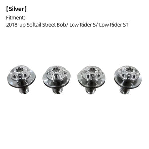 Boulons de Fourche Avant / Cache-Batterie en Titane - Harley-Davidson Softail M8 2018 et plus récent – photo 10/18
