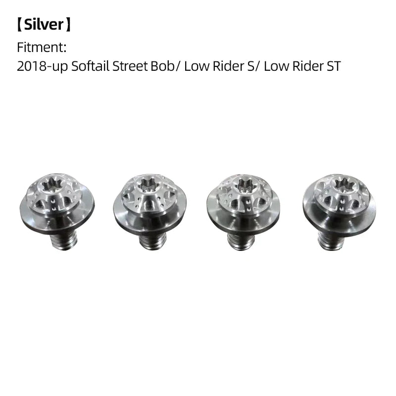 Boulons de Fourche Avant / Cache-Batterie en Titane - Harley-Davidson Softail M8 2018 et plus récent – photo 10/18