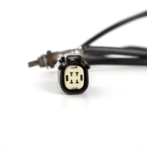 Sondes lambda O2 pour Harley Dyna Softail Sportster - vue 3
