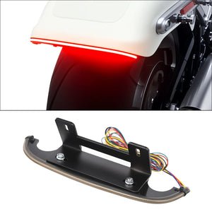 Garde-boue arrière raccourci avec feu LED fumé pour Harley Softail Fat Boy - vue 1