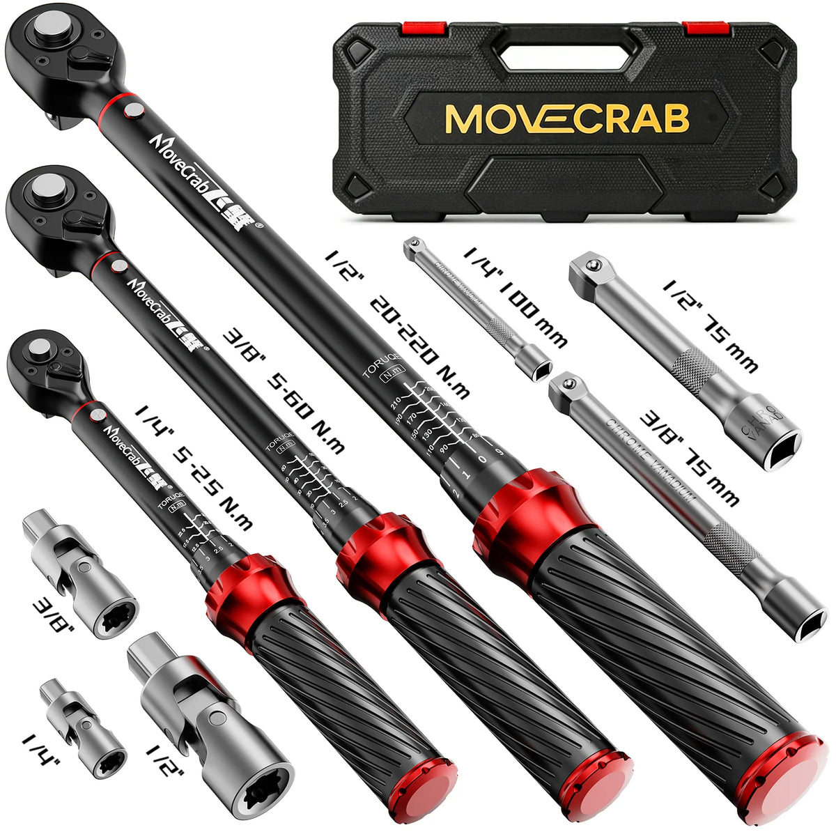 Kit de Clés Dynamométriques Mécaniques Premium 9 Pièces 5-224 N.m - Moto, Vélo & Auto – photo 8/9