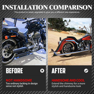 Dossier Passager Amovible (Sissy Bar) Chromé - Harley-Davidson Touring 2009-2022 – photo 3/6