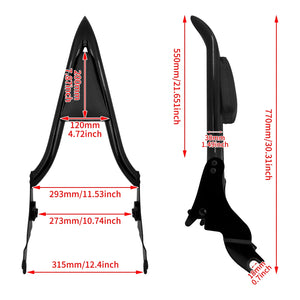 Dossier passager sissy-bar noir pour Harley Touring - vue 6