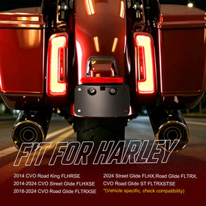Support de plaque d'immatriculation profil bas pour Harley-Davidson CVO Street Glide, CVO Road Glide, Street Glide, Road Glide – photo 2/7