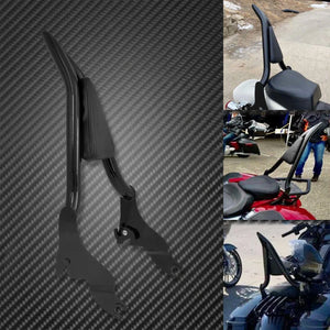 Dossier Passager Amovible (Sissy Bar) - Harley-Davidson Touring Electra Glide, Street Glide, Road King, FLHR/FLHT 2009-2023 – photo 4/8