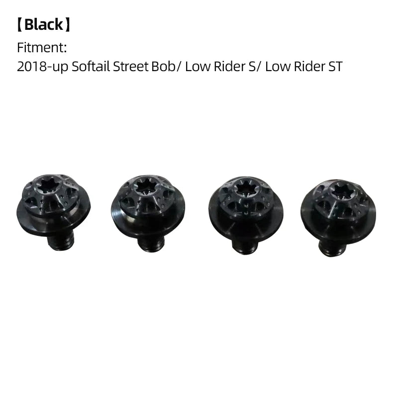 Boulons de Fourche Avant / Cache-Batterie en Titane - Harley-Davidson Softail M8 2018 et plus récent – photo 12/18