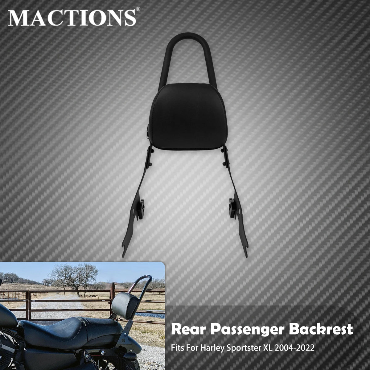 Dossier Passager Amovible (Sissy Bar) - Harley-Davidson Sportster XL 2004-2022 – photo 1/7