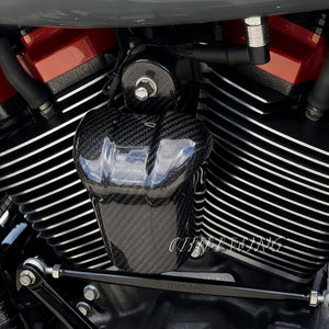 Cache de klaxon carbone pour Harley Touring Trike - vue 2