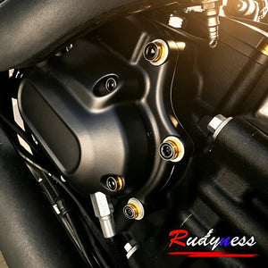 Kit de boulons et caches colorés pour moteur Harley Softail - vue 6