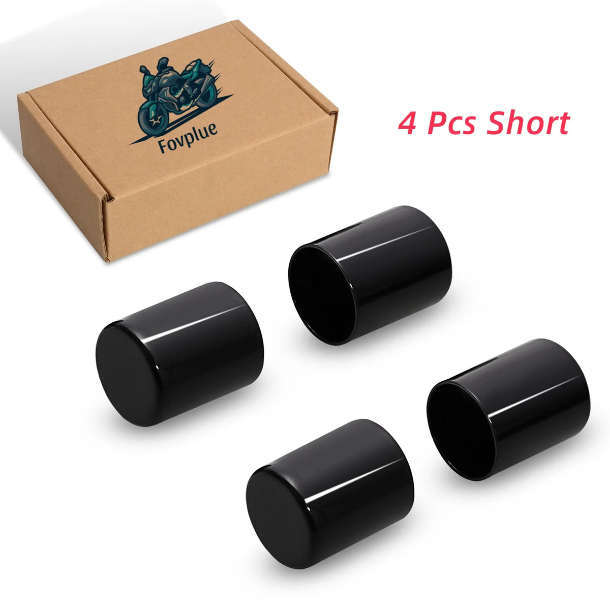 Kit de fixation amovible 4 points pour Harley Touring - vue 8