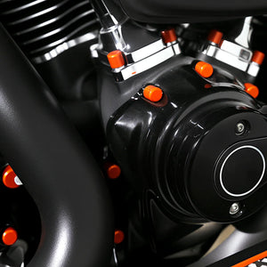 Caches de vis aluminium pour Harley Road Glide et Street Glide - vue 2