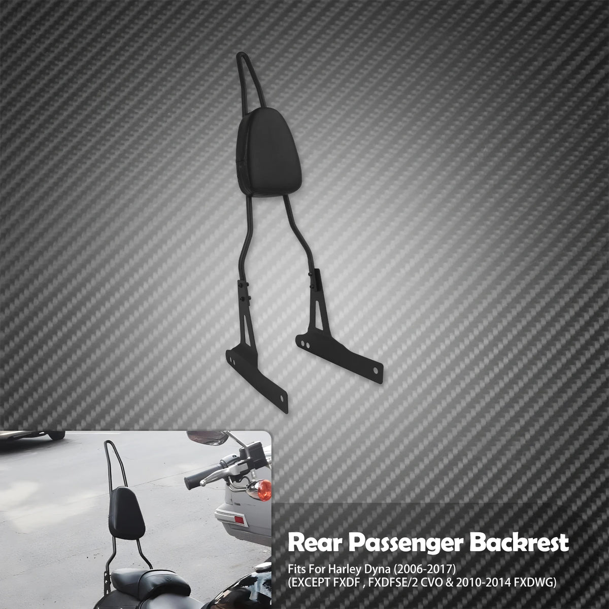 Dossier Passager (Sissy Bar) - Harley-Davidson Sportster XL 2004-2022 & Dyna 2006-2017 – photo 7/8