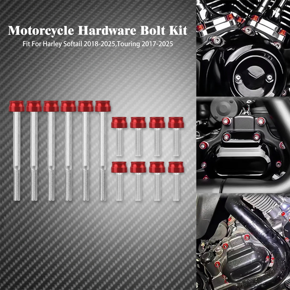 Kit de 14 Caches Vis de Cylindre Moteur CNC - Harley-Davidson M8 Touring & Softail 2017-2025 – photo 1/11