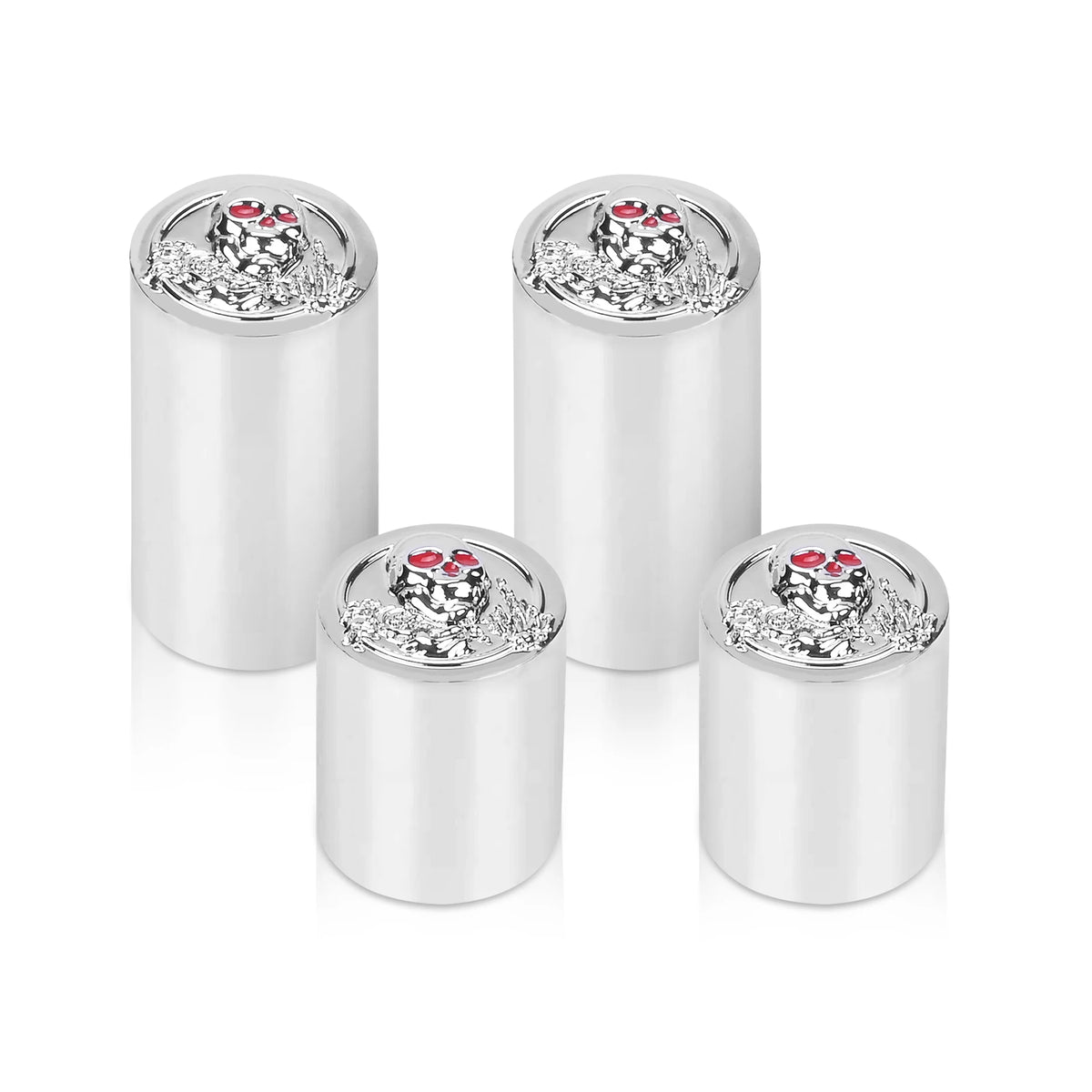 Caches Magnétiques pour Points de Fixation (Docking) - Harley-Davidson Touring - vue 13